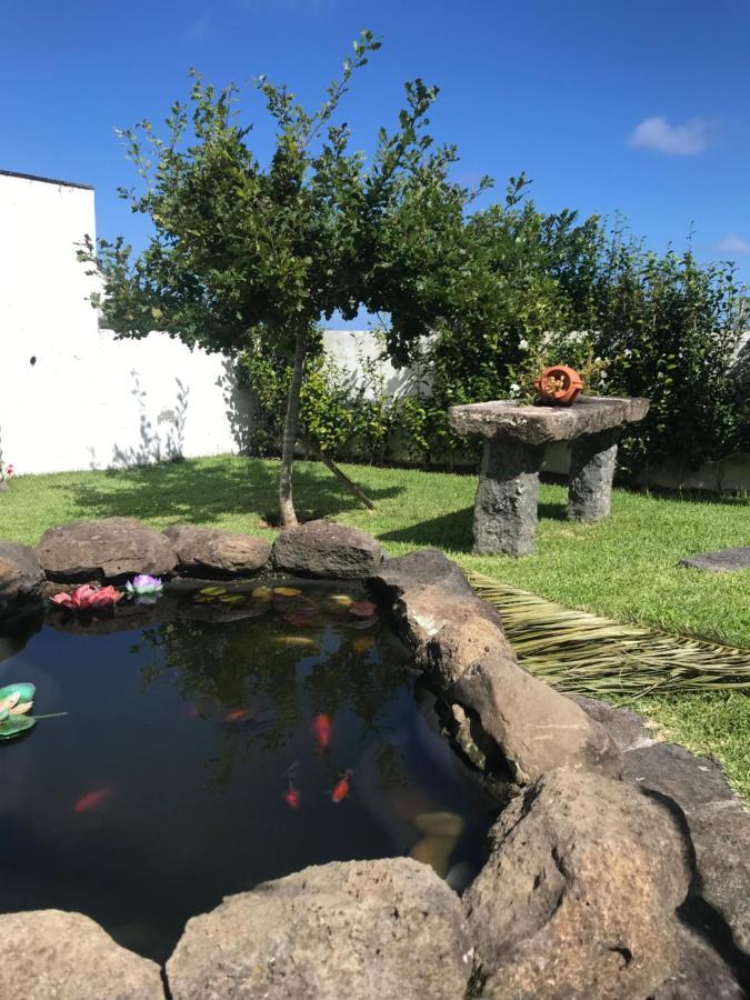 Charming Green Country House Nordestinho Εξωτερικό φωτογραφία